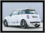 Hamann, Mini Cooper